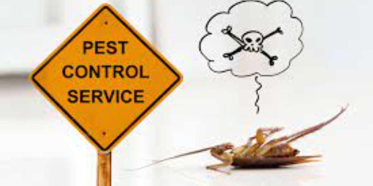 Long Term Benefits of Professional Pest Control Services in Nairobi Kenya | Bestcare Pest Control Services