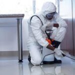 What is Included in the Fumigation Services in Kenya Prices?