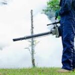 Best Pest Control Company in Nairobi County