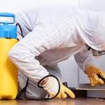 Best Pest Control Company in Nairobi County