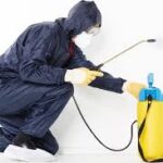 Best Pest Control Company in Nairobi County