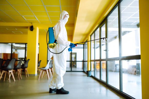 Why Hospital Should Consider Integrated Pest Pest Control Services in Nairobi Kenya