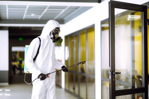 Why Hospital Should Consider Integrated Pest Pest Control Services in Nairobi Kenya