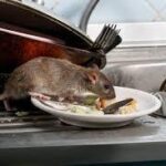 images (18)