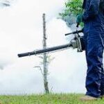 Best Commercial Fumigation Services in Kenya