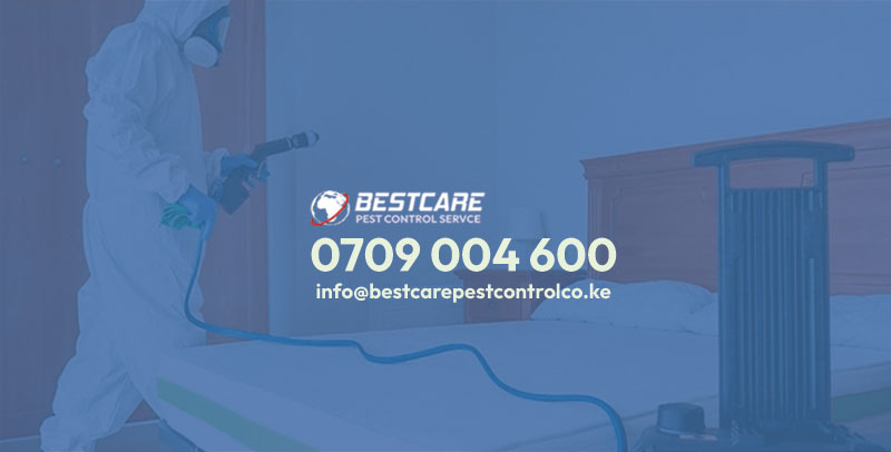 Kiambu Pest Control and Fumigation Services 1