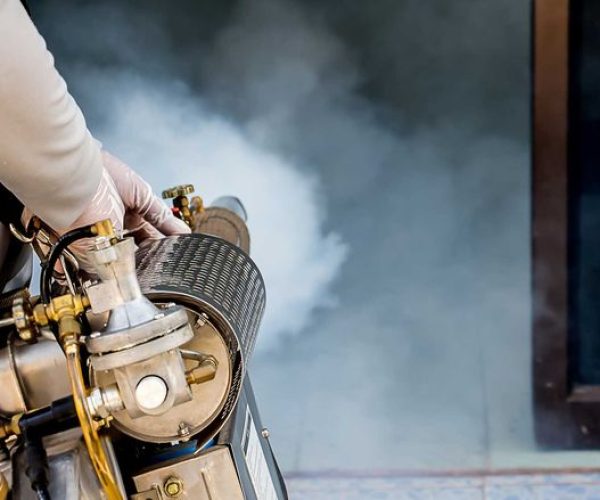 Best Pest Control Company in Siaya County - 0722566999