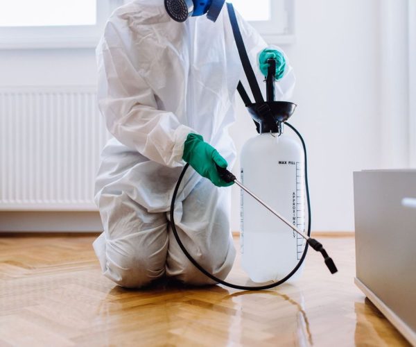 Best Fumigation and Pest Control Services Prices in Nairobi Kenya