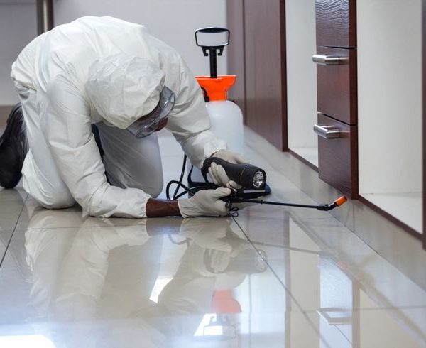 Best Pest Control Company in Meru County - 0722566999