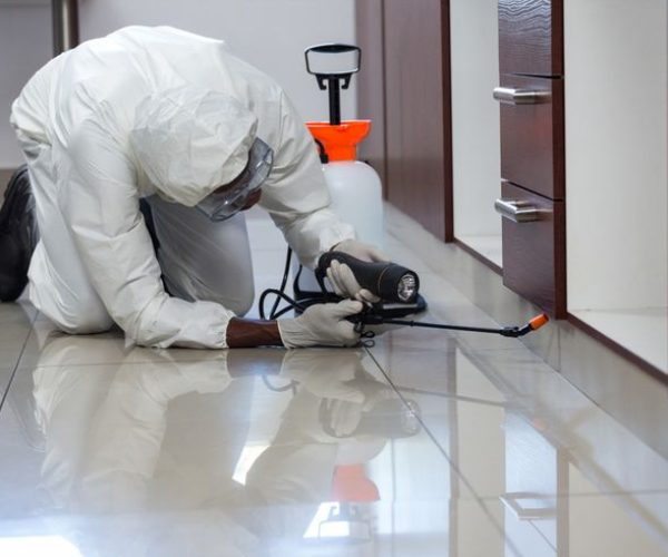 Best Pest Control Company in Meru County - 0722566999