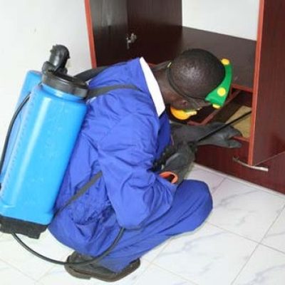 Best Fumigation Companies in Nairobi | Bestcare Pest Control Services