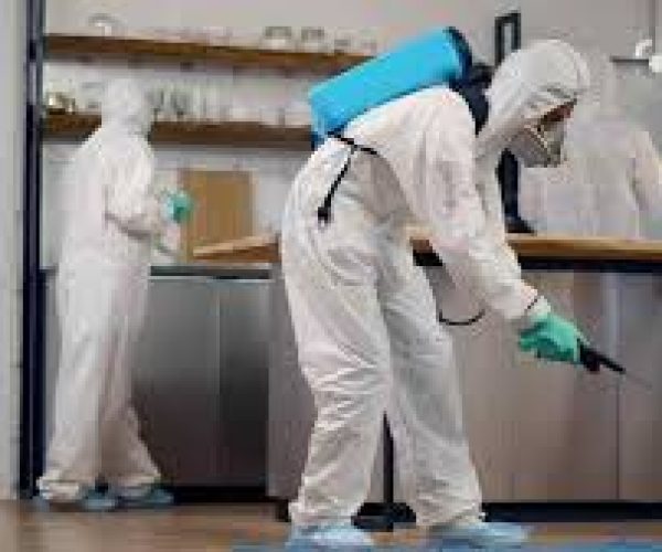 What is Included in the Fumigation Services in Kenya Prices?