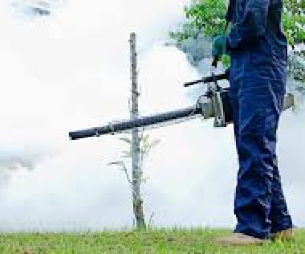 Best Pest Control company in Kajiado County
