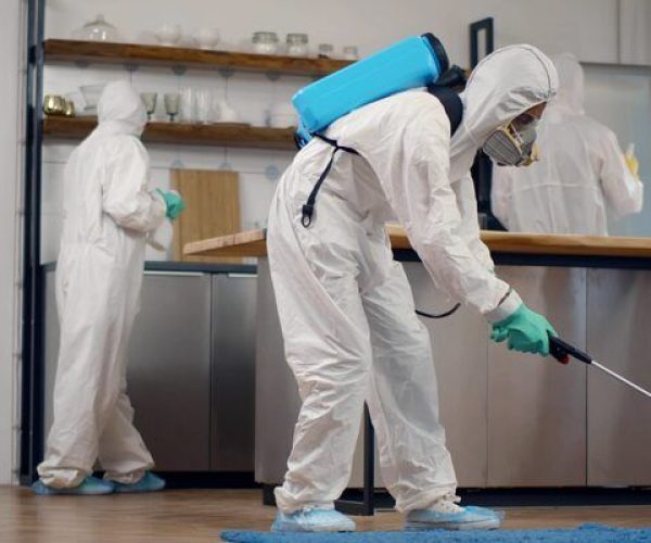 Best Pest Control Company in Baringo County