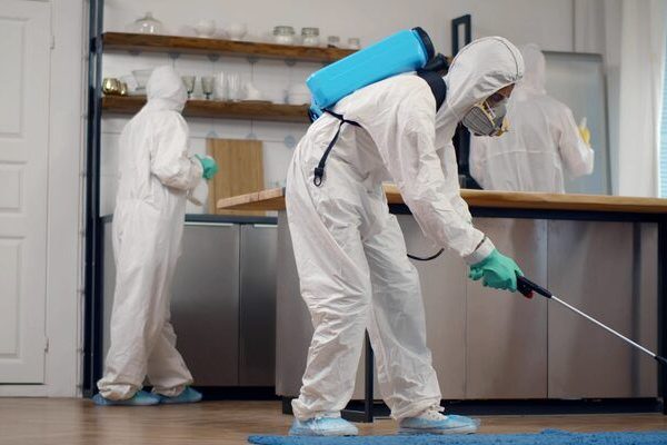 Best Pest Control Company in Homa Bay County