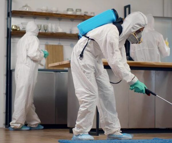 Best Pest Control Company in Kisumu County