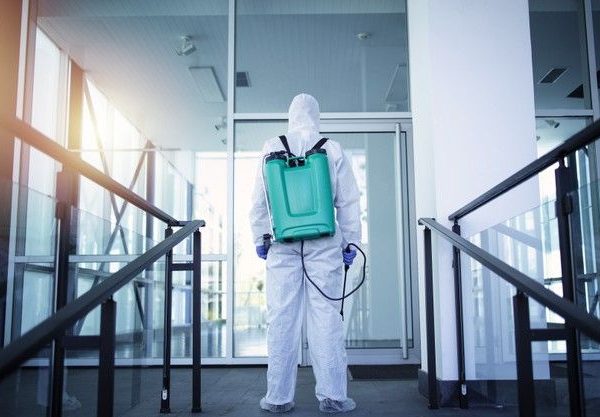 Best Pest Control Company in Homa Bay County