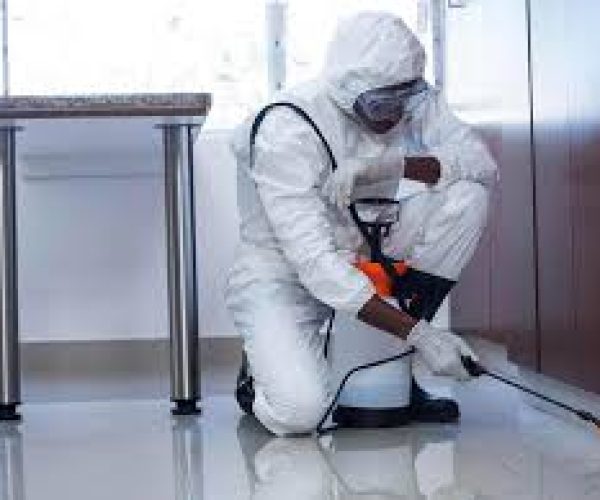 What is Included in the Fumigation Services in Kenya Prices?