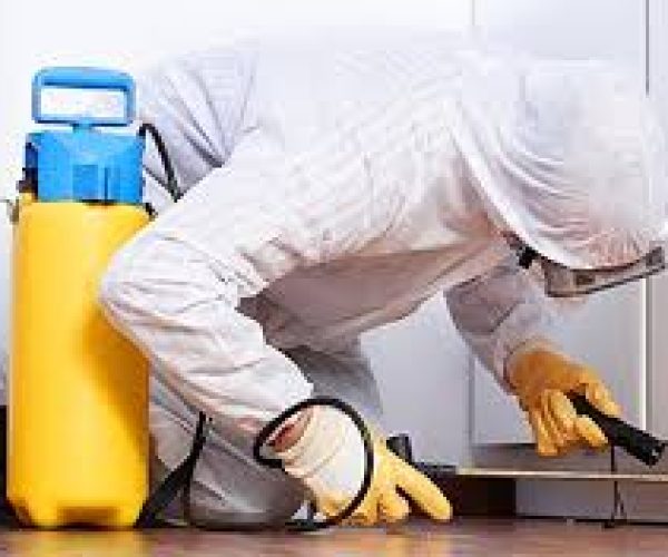 Best Pest Control company in Kajiado County