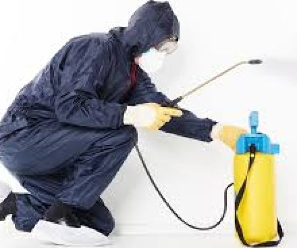 Best Pest Control company in Kajiado County