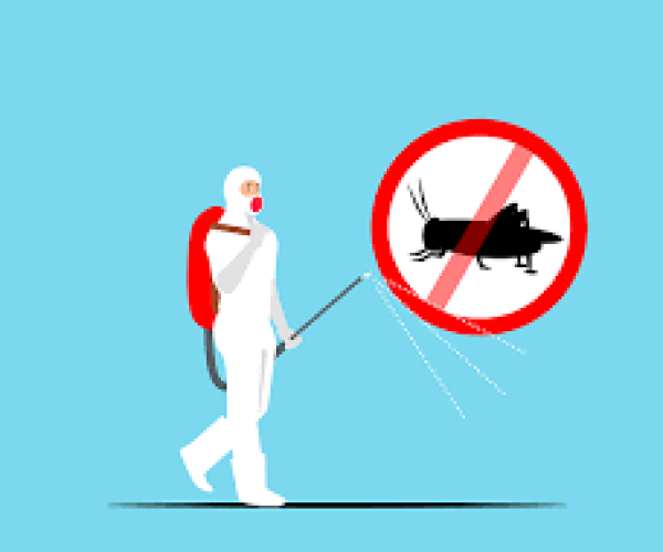 How Often You Should Schedule For Your Home or Office Fumigation Services in Nairob