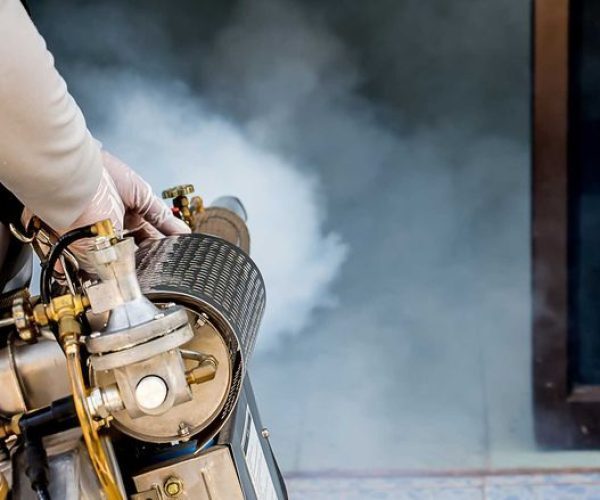 pest control service - Copy