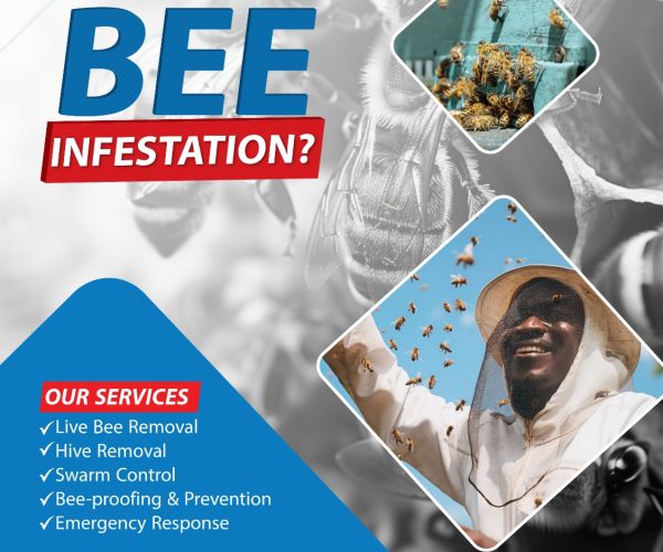 Best Pest Control company in Kirinyaga County - 0722566999