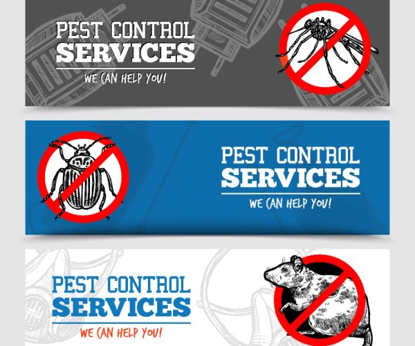 Best Pest Control Company in Uasin Gishu County